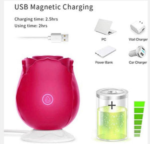 Magnetic Charger